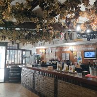  at Bar Cid in Logrono