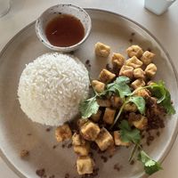 Lemon and pepper tofu with rice  #Veganuary at Cafe K.O.B - By The Sea in Koh Samui