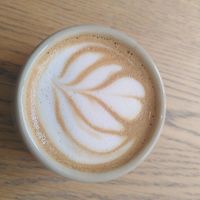  at Halbstark in Detmold