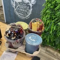   at Purple Flamingo in Bellmore