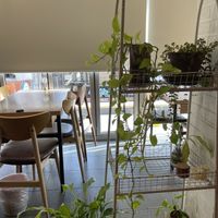   at Aejeong hot pot restaurant in Seoul