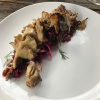 Mushroom appetizer at Woodlot in Toronto