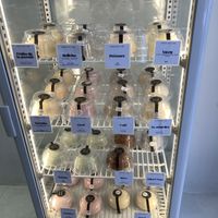   at Kakigori in Barcelona