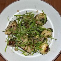 Blistered turnips   at Pietramala in Philadelphia