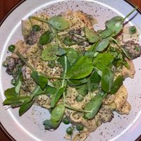 Fresh pappardelle  at Pietramala in Philadelphia