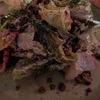 Mixed lettuce salad -- excellent at Pietramala in Philadelphia
