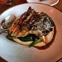 Mushroom at Pietramala in Philadelphia