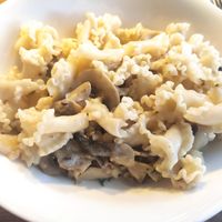 Vegan pasta with mushrooms at Vapiano -  Köln Habsburgerring in Cologne