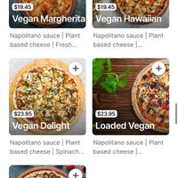   at The Lush Pizza Co. in Cairns