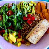 Vegan Tocan Tofu Buddha Bowl at Jungle Vibes At The Marina (by Arabella) in Lanzarote