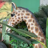 Some of the decor at Jungle Vibes At The Marina (by Arabella) in Lanzarote