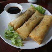 Eggrolls at Bambu in Santo Domingo