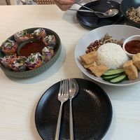 Nasi Lemak und Vietnamese Rolls  at Six Spring Vegetarian Cafe in Penang