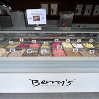 16 flavours of vegan icecream at Berry’s.   at Berry's - Charco in Tenerife