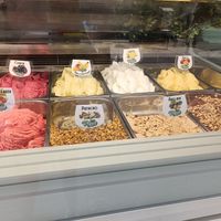  at Berry's - Charco in Tenerife