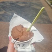  at Berry's - Charco in Tenerife