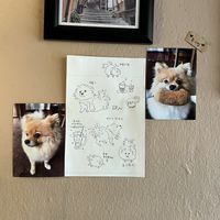   at Pm5 - 피엠오 in Seoul