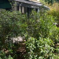  at The Beans on Fire in Paris