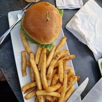 Veggie burger and fries at Patio 03907 in Ogunquit