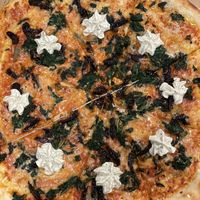   at Squatcho's in Rochester