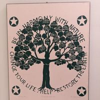  at Squatcho's in Rochester