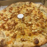   at Squatcho's in Rochester