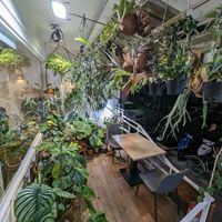  at Islander Cafe 嶼人咖啡 in Taipei