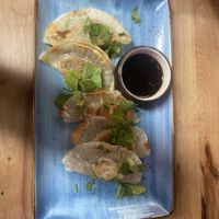 Mushroom dumplings  at Astroboy in Whangarei