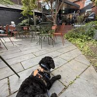   at Twyfords Cafe in Beccles