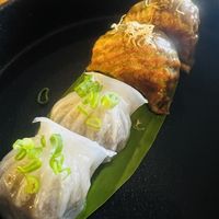   at Green Mantis in New Delhi