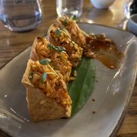  #Veganuary at Green Mantis in New Delhi