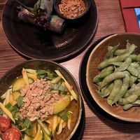 Auswahl an veganen Vorspeisen (Sommerrollen, Mangosalat & Edamame)  at MO Restaurant in Hamburg