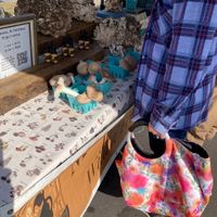 Mushrooms  at West Asheville Tailgate Market in Asheville