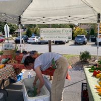 Vegetables at West Asheville Tailgate Market in Asheville