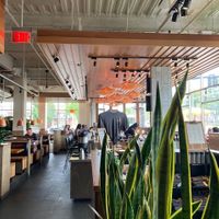 Interior  at Northstar Café in Shaker Heights in Shaker Heights