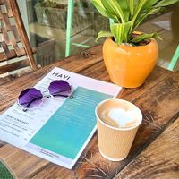  at Mavi Cafe in Udaipur