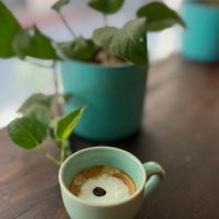  at Mavi Cafe in Udaipur