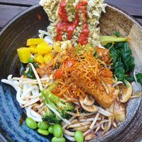 Udon noodles at Citta Vegan Izakaya in Hamburg