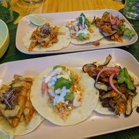 taxosy at TROPICOOL in Madrid