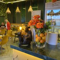 Decoración   at TROPICOOL in Madrid