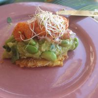  at TROPICOOL in Madrid