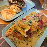  at TROPICOOL in Madrid