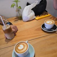  at Bluebell Coffee Roasters in Valencia