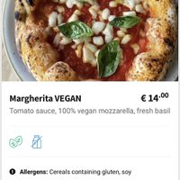 vegan menu 1  at Basils in Brussels