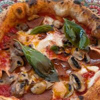  at Basils in Brussels