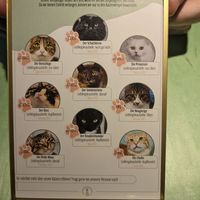 All the cats 🐱 at Katzentempel - Hamburg in Hamburg