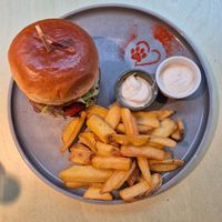  at Katzentempel - Hamburg in Hamburg