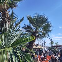  at StrandPauli in Hamburg