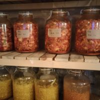 Kimchi fermenting at SOIL Vegan Café - East in Amsterdam