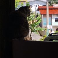  at Taboo Tiki Bar in Florianopolis